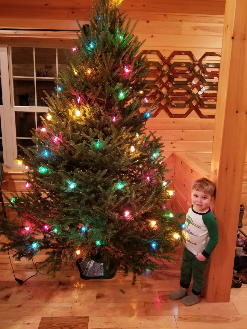 Christmas Tree 2019